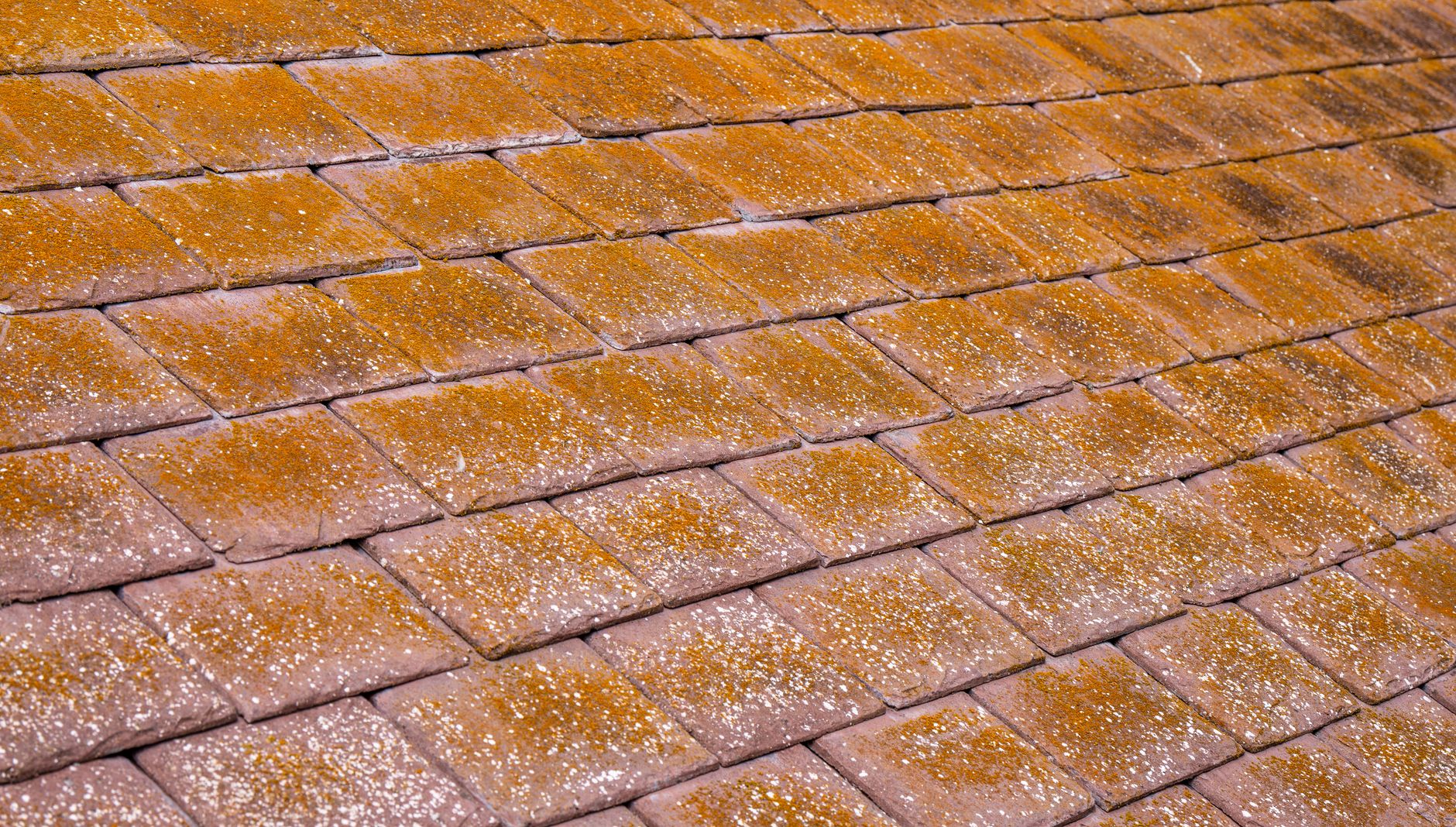 Flashing & Leak Repair – Killeen