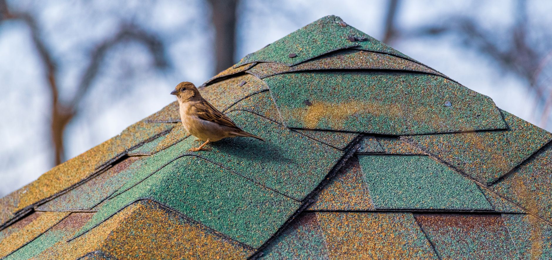 Gutter & Fascia Work – Killeen